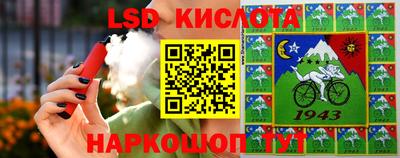 jwh Бердск