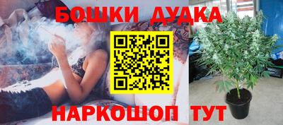 jwh Бердск