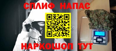 jwh Бердск